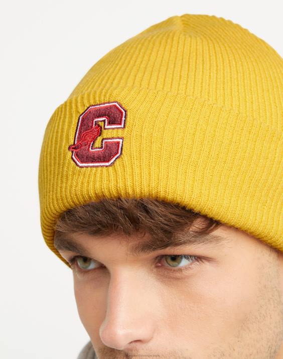 Champion moški debela kapa z manšeto, univerzitetna c s krilci 2B84901 kraljevo zlato