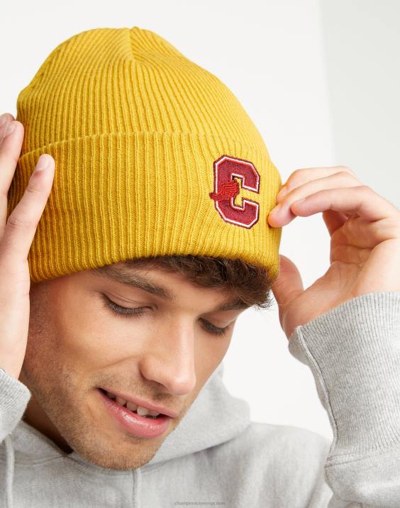 Champion moški debela kapa z manšeto, univerzitetna c s krilci 2B84901 kraljevo zlato