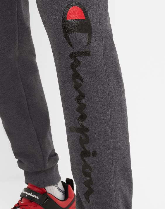Champion moški joggers iz flisa powerblend script logo 31\" 2B84261 granitno resje