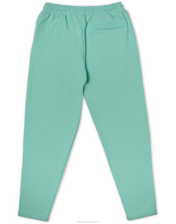 Champion moški vrhunske hlače z logotipom c 31\" 2B84203 čista meta