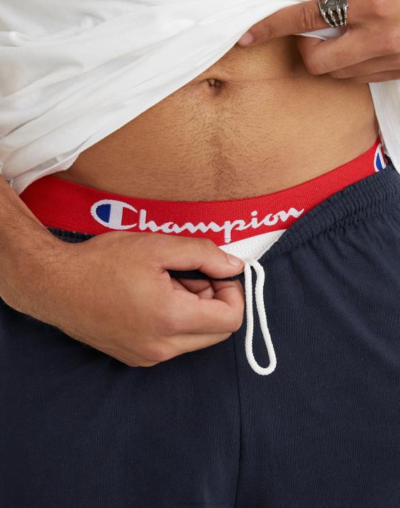 Champion moški bombažne kratke hlače za vsak dan z grafiko 9\" 2B84467 mornarica