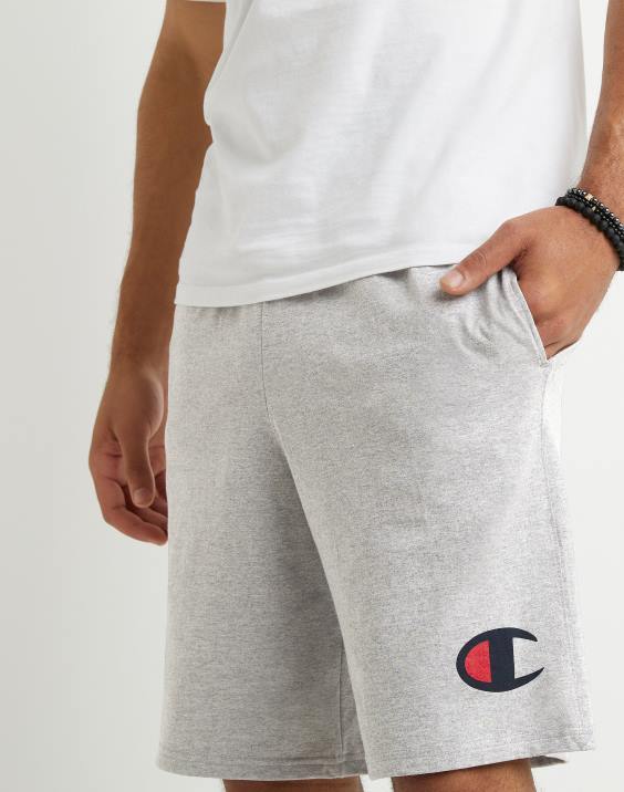 Champion moški bombažne kratke hlače za vsak dan z grafiko 9\" 2B84468 oksford siva
