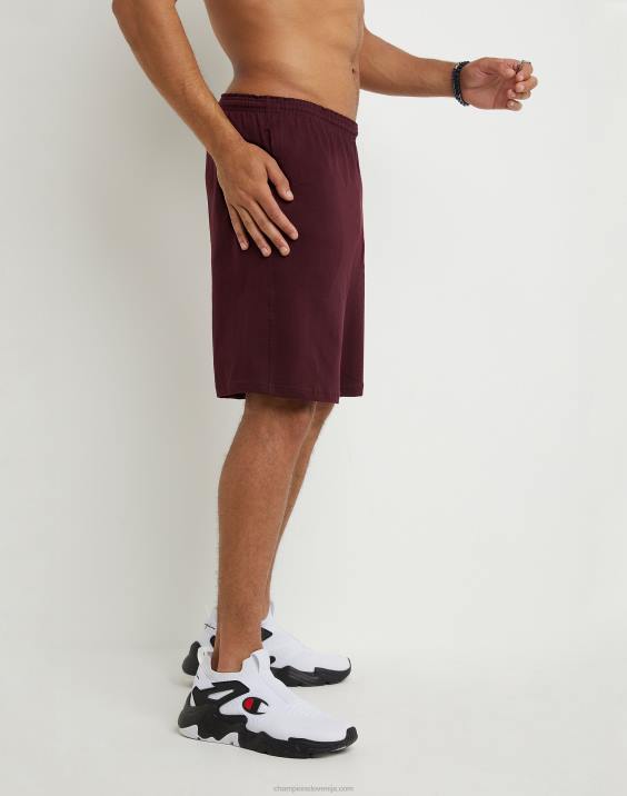 Champion moški kratke hlače za vsak dan c logotip z našitki 9\" 2B84489 kostanjeva