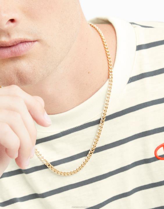 Champion moški klasična črtasta majica 2B84646 kreda bela/hladna skrilasto siva