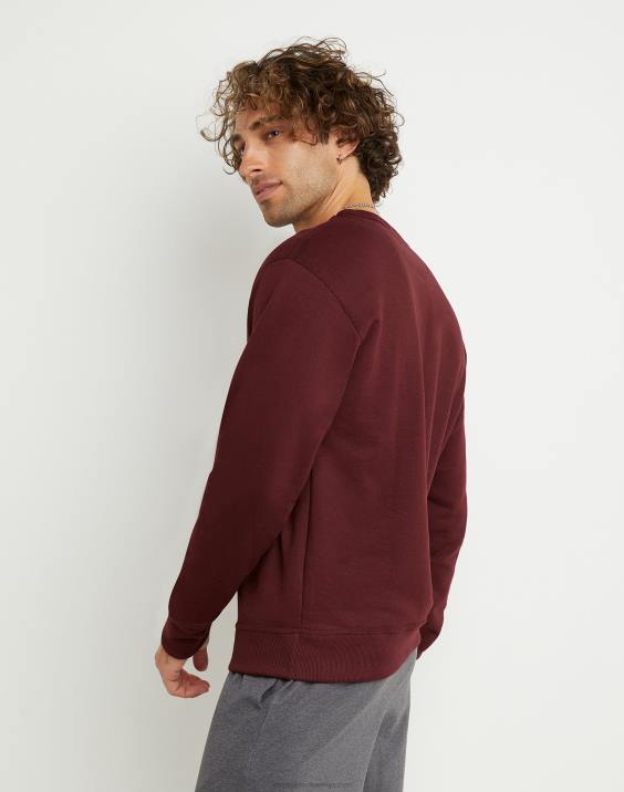 Champion moški powerblend flis crew c logotip 2B8456 kostanjeva