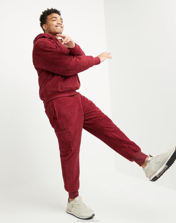 Champion moški pulover iz flisa z visokimi lasmi in s kapuco s kapuco. c logotip 2B84164 kardinal