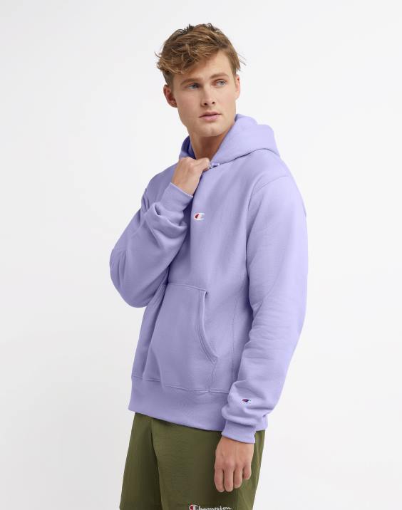 Champion moški pulover s kapuco v vzvratnem tkanju c logotipom 2B846 čista sivka